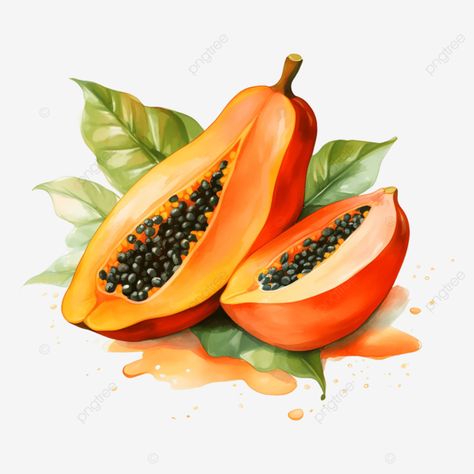 papaya watercolor ai generated Fruit Png, Papaya Fruit, Freehand Drawing, Papaya Fruits, Caribbean Food, Transparent Image, Caribbean Recipes, Natural Shapes, Papaya