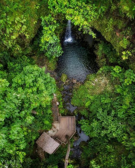 Visit the Emerald Pool in Dominica, the Nature Isle of the Caribbean. #767 Dominica Island Caribbean, Dominica Tattoo, Dominica Aesthetic, Pirate Aesthetics, Dominica Island, Caribbean Aesthetic, Travel America, Caribbean Art, Adventure Travel Explore