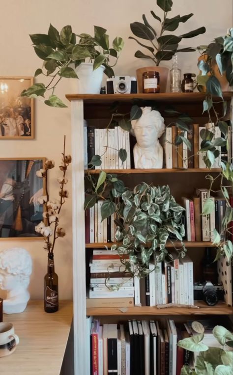 Bookshelf With Plants And Books, Earthy Bookshelf, Plant Bookcase, Plants On Bookshelves, Bookshelf With Plants, Dark Wood Bookshelves, Plant Bookshelf, Boho Bookshelf Styling, Bookshelf Styling Bedroom