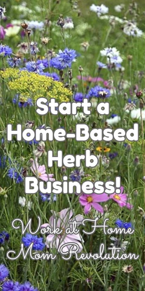 Herb Business, Herb Farm, Farm Business, Herbal Apothecary, Work From Home Business, Herbs For Health, Own Boss, Business Work, Work At Home