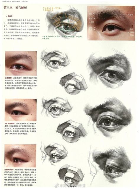 Eye Anatomy Drawing, Portrait Drawing Tips, Eye Study, Eye Anatomy, Face Anatomy, Man Anatomy, Anatomy Sculpture, 얼굴 드로잉, Human Anatomy Drawing