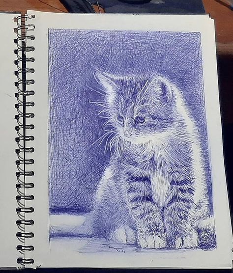 Ballpoint Pen Portrait Drawing Cute Pen Drawings, Pen Portrait Drawing, Ballpoint Pen Portrait, Pen Portraits, Pen Portrait, Ballpoint Pen Art, Pen Art Work, Cats Art Drawing, Blue Drawings