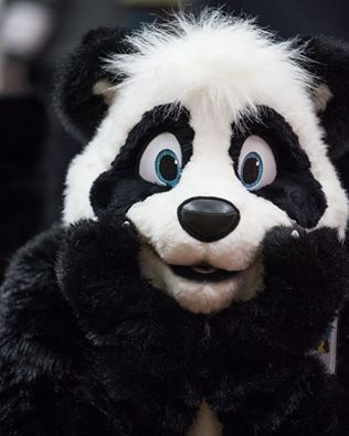 panda Panda Panda Fursuit, Fur Suits, Panda Panda, Animal Costumes, Kites, 2d Art, Character Costumes, Mascot Costumes, Cartoon Animals