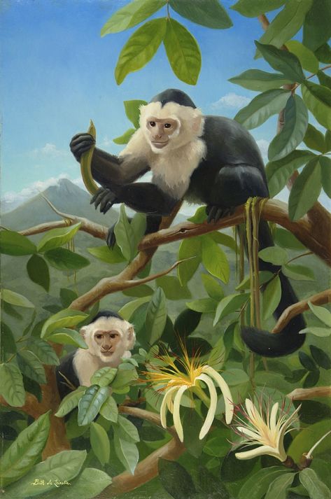 Costa Rican Animals, Monkey Aesthetic, Costa Rica Animals, Costa Rica Art, Fabric Colour Painting, Naturopathic Medicine, Painting Competition, Pet Monkey, Costa Rican