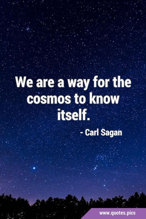 We are a way for the cosmos to know itself. #Cosmos #Universe Cosmos Quotes, Science Quotes, Universe Quotes, Quotes Pics, Carl Sagan, The Cosmos, Beauty Quotes, Short Quotes, Interesting Facts