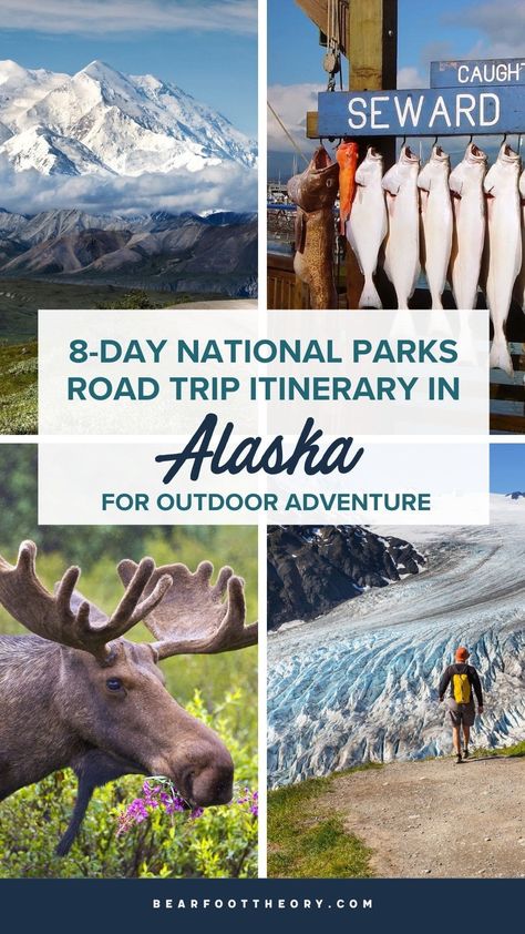 National Parks Road Trip, Alaska Road Trip, Alaska National Parks, North To Alaska, Wohne Im Tiny House, Alaska Wildlife, Alaska Adventures, Board Pictures, Visit Alaska