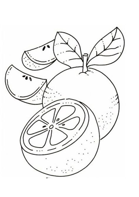 Fruit Drawing, Shape Coloring Pages, Fruit Coloring Pages, Fruits Drawing, Drawing Pattern, Pattern Coloring Pages, Embroidery Template, Fruit Art, Art Drawings For Kids