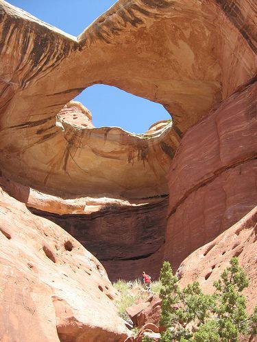 Paul Bunyan's Potty- The Needles Canyonlands NP Kolob Canyon Utah, Payson Canyon Utah, Canyon Overlook Trail Zion, Reflection Canyon Utah, Carbon Canyon Regional Park, Paul Bunyan, Canyonlands National Park, Utah Photography, National Park Road Trip