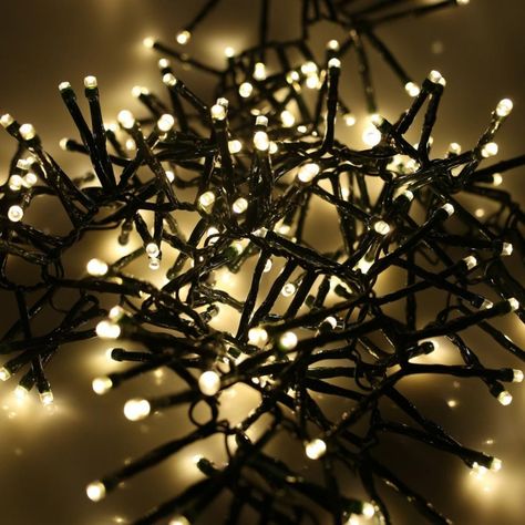 Real Trees Cluster Christmas Lights, Waterproof Led Lights, Outdoor Party Lighting, Cluster Lights, Outdoor Christmas Tree, Garden Christmas, Led Christmas Lights, Outdoor Christmas Lights, Bright Led Lights