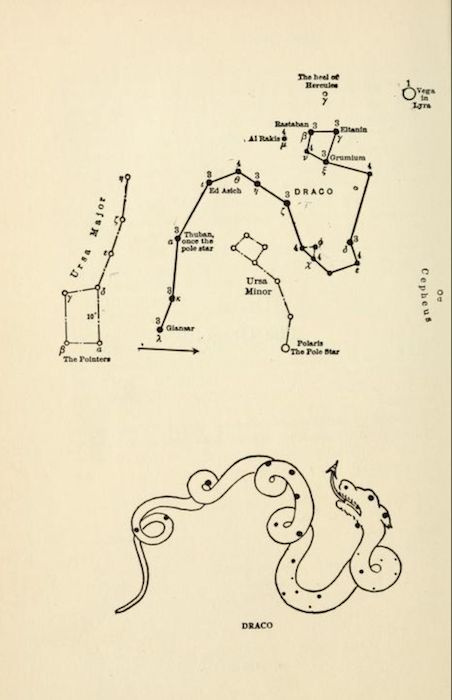 Constellation Draco, Hercules Constellation, Draco Constellation, Zodiac Constellation Art, Taurus Constellation Tattoo, Virgo Constellation Tattoo, Draco Malfoy Fanart, Virgo Constellation, Taurus Constellation