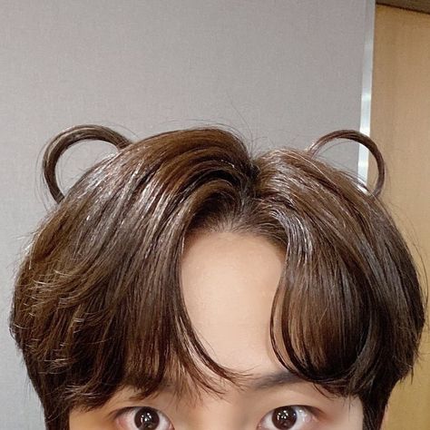 Jongho Bear Ears, Ateez Icon, Jongho Ateez, Bear Ears, Log In, Log, On Twitter, Twitter, Hair