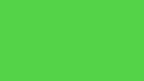 Money Rain Green Screen GIF - MoneyRain GreenScreen Falling - Discover & Share GIFs Royal Talens, Car Graphics, Vinyl Labels, Solid Color Backgrounds, Outdoor Tools, Gradient Background, Custom Vinyl, Saturated Color, Porch Signs