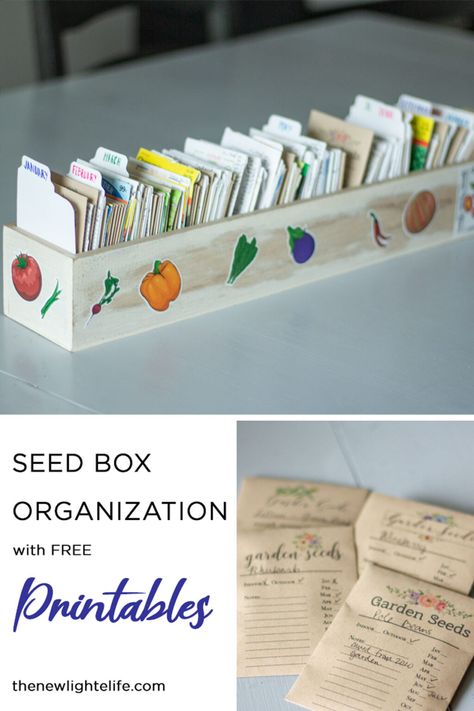 Seed Box Storage, Seed Saving Storage, Seed Organization, Garden Hod, Seed Saving Envelopes, Organize Seeds, Gardening Printables, Seed Envelopes, Box Organization