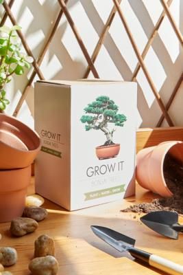 Bonsai Kit, Botanical Collage, Bonsai Seeds, Grow Kit, Plant Markers, Bonsai Plants, Plant Vase, Bonsai Garden, Floral Garland