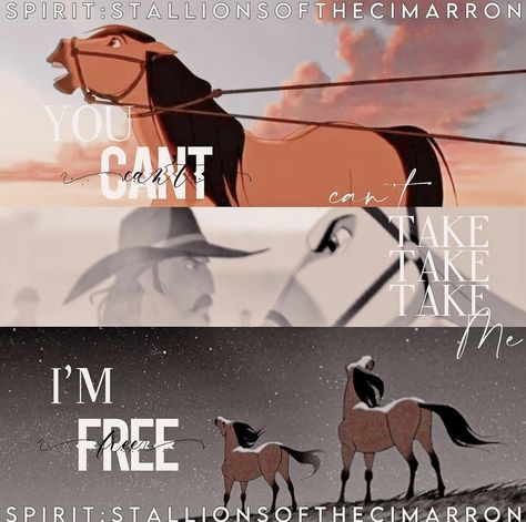 Spirit And Rain As Humans, Spirit Wallpaper Horse, Spirit Horse Movie, Disney Horses, Spirit And Rain, Spirit The Horse, Horse Animation, Spirit Stallion, Horse Movies