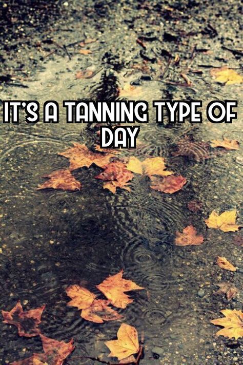 Halloween Tanning Quotes, Bed Quotes Funny, Tanning Specials, Skincare Graphics, Airbrush Tanning Business, Spray Tan Marketing, Tan Salon, Salon Pics, Tanning Business