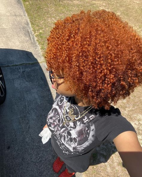 Natural Baddie, Ginger Curly Hair, Afro Hair Inspiration, Orange Brown Hair, Ginger Blonde, Pixie Haircut Ideas, Dyed Curly Hair, Volume Curls, Girl Hair Colors