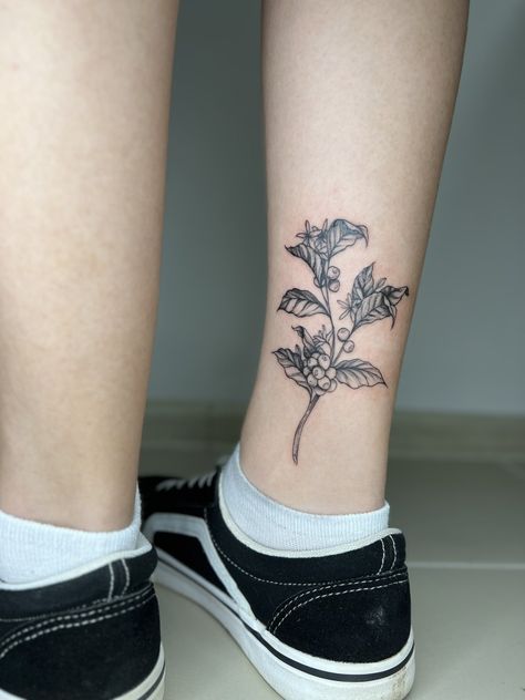 Coffee Plant Tattoo, Traditional Tattoos Black, Faith Tattoos, Coffee Tattoo, Coffee Tattoos, Bean Plant, Plant Tattoo, Coffee Plant, Black Ink Tattoos