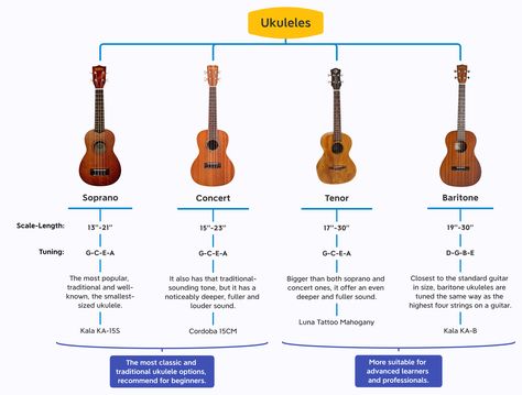 Are you interested in playing ukulele? Simple and fun to start! Check out the four types of ukuleles before purchasing. Types Of Ukulele, Ukulele Soprano, Ukulele Chords, Ukelele, Work Organization, Mind Map, Musical Instruments, Ukulele, Working From Home