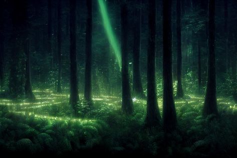 bioluminescent forest, tall trees, hd, photorealistic | Midjourney | OpenArt Bioluminescent Aesthetic, Bioluminescent Forest, Urban Design Graphics, Forest Aesthetic, Tall Trees, Tree Forest, Design Graphics, Urban Design, Trees