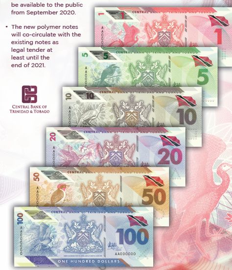 THE Central Bank has revealed the design and look of the polymer notes for the $50, $20, $10, $5 and $1 bills. The bills will become publicly available from September 2020. All bills remain the same defining colour but the bank’s award-winning $50 has gotten a make-over. It is now entirely orange and does not … Continue reading Central Bank gives first look at new polymer notes Money Printables, Currency Design, Money Notes, Crypto Money, Money Collection, Money Design, Rich Money, How To Make Paper Flowers, Central Bank