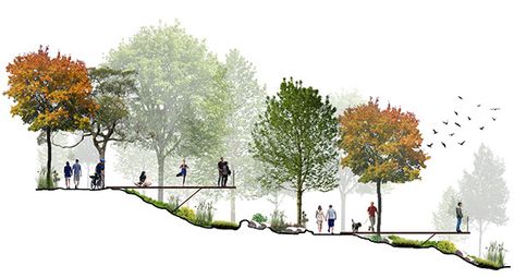 River Landscape Architecture, Landscape Architecture Section, Landscape Architecture Presentation, Landscape Diagram, Landscape Architecture Diagram, Landscape Architecture Graphics, Landscape Architecture Plan, Gambar Lanskap, Urban Design Graphics