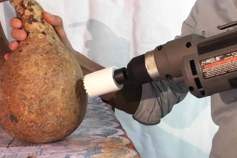 How To Clean The Inside Of A Gourd How To Dry Gourds, Gourd Projects, Birdhouse Gourds, Hummingbird House, Bird House Feeder, Garden Houses, Gourds Birdhouse, Gourds Crafts, Mold Growth