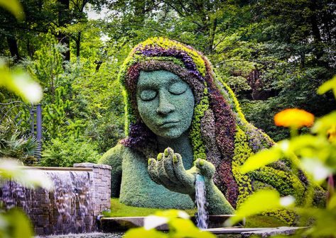 Start with a Southern breakfast, walk it off from there. United States Botanic Garden, Tropical Greenhouses, Montreal Botanical Garden, Portland Japanese Garden, Drought Tolerant Perennials, Denver Botanic Gardens, Atlanta Botanical Garden, Desert Botanical Garden, Dallas Arboretum