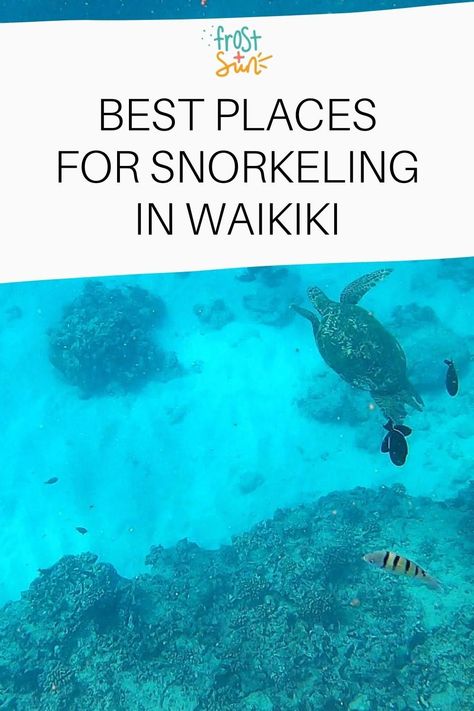 Best Places To Snorkel, Hawaii Snorkeling, Best Snorkeling, Travel Bucket List Usa, Us Travel Destinations, Waikiki Beach, Short And Sweet, Usa Travel Destinations, Sea Turtles