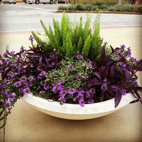 Designer: Adam Woodruff www.adamwoodruff.com Image: © 2015 Adam Woodruff + Associates All Rights Reserved Round Planters Ideas Outdoor, Large Bowl Planters Indoor, Large Bowl Planters Outdoor Ideas, Large Round Planters Outdoor Ideas, Shallow Round Planter Ideas, Low Planters Bowl, Planter Bowl Ideas, Outdoor Bowl Planter Ideas, Shallow Bowl Planter Ideas