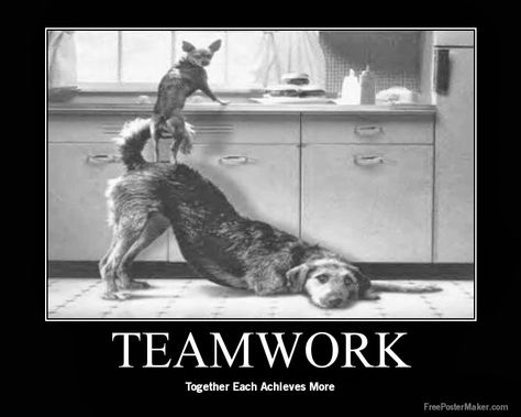 Teamwork Quotes For The Office. QuotesGram by @quotesgram Funny Team Quotes, Teamwork Funny, Good Work Quotes, Respect Relationship Quotes, Team Motivational Quotes, Team Quotes, Work Funny, Funny Motivational Quotes, Bear Quote