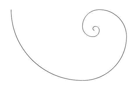 fibonacci - Google Search Golden Ratio Spiral Tattoo, Fibonacci Drawing, Fibonacci Spiral Tattoo, Golden Ratio Tattoo, Golden Ratio Spiral, Spiral Tattoo, Ignorant Tattoos, Spiral Tattoos, Fibonacci Spiral