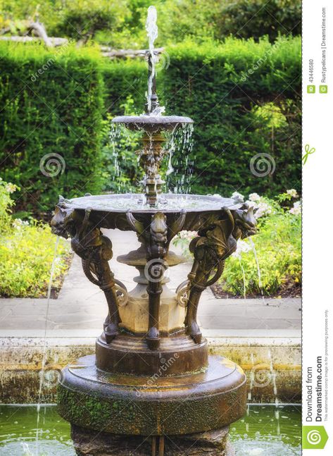 Gargoyle Fountain, Gothic Fountain, Courtyard Fountain, Rain Gauges, Inktober 2024, Faux Flower Arrangements, Rain Chain, Garden Gazebo, Fish Ponds