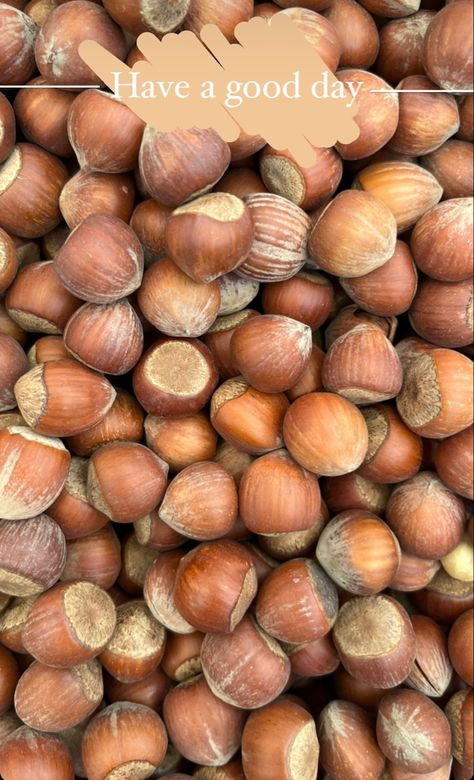 #istanbul #turkey #hazelnut #aesthetic #brown Hazelnut Aesthetic, Season Wallpapers, Bean Seeds, Aesthetic Brown, Wallpaper Pink, Dnd Stuff, Have A Good Day, Wonderful Day, City Aesthetic