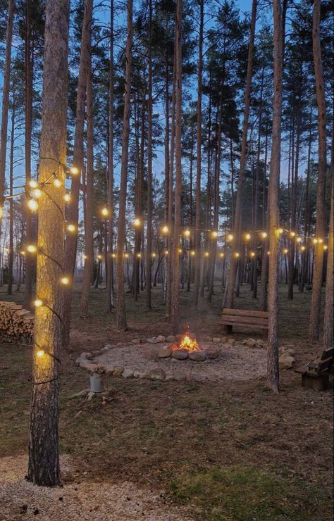 Forest With String Lights, Backyard Party Fire Pit, Forest With Fairy Lights, Fairy Lights In Forest, Birthday Party In The Woods, Forest Themed Birthday Party Decorations, Forest Date Aesthetic, Night Festival Aesthetic, Bonfire Set Up Ideas