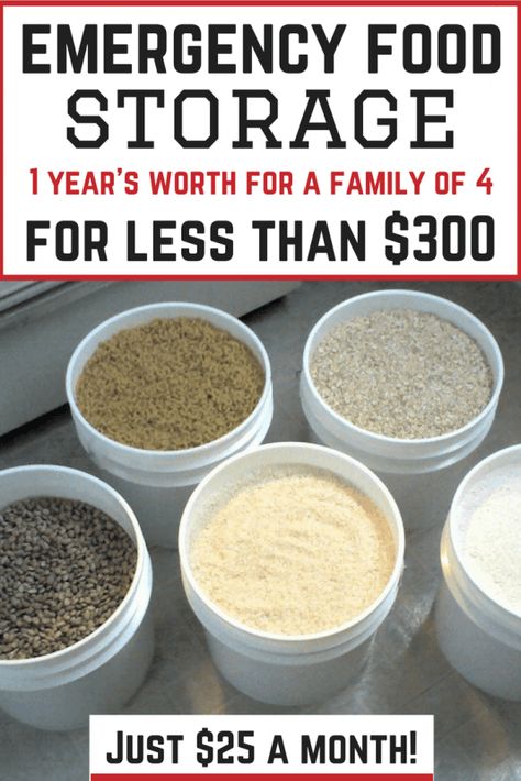 12 Month Emergency Food Storage Plan: feeds a family of 4 for $300 (just $25 a month!) Emergency Preparedness Food Storage, Survival Food Storage, Preppers Pantry, Emergency Preparedness Food, Emergency Prepardness, Emergency Food Storage, Emergency Food Supply, Long Term Food Storage, Emergency Preparedness Kit