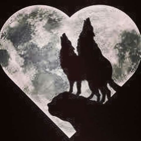 Wolf mate love Black Heart Tattoo, Wolf Mates, Black Heart Tattoos, Paw Wallpaper, Baby Wolves, Two Wolves, Silhouette Painting, Wolf Love, Wolf Pictures