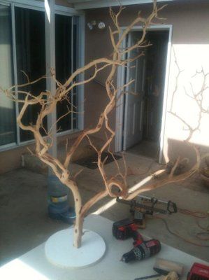 branch centerpieces | Weddings, Planning, Do It Yourself, Style and Decor | Wedding Forums | WeddingWire Diy Branch Centerpieces, Tree Branch Centerpieces, Branch Centerpieces Wedding, Decorating With Sticks, Branch Centerpieces, Wedding Branches, Earthy Wedding, Wedding Centerpieces Diy, Wedding Site