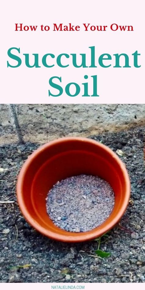 How To Make Succulent Soil, Succulent Planting Ideas, Diy Succulent Soil, Succulent Display Ideas Indoor, Cactus Soil Mix Diy, Succulent Container Ideas, Growing Succulents From Seed, Repotting Succulents, Soil Recipe