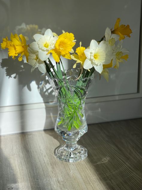 Daffodils In Vase, Narcissus Flower Aesthetic, Narcissus Bouquet, Daffodils Bouquet, Daffodil Bouquet, Sweet Pea Flowers, Narcissus Flower, Yellow Daffodils, Spring Bouquet