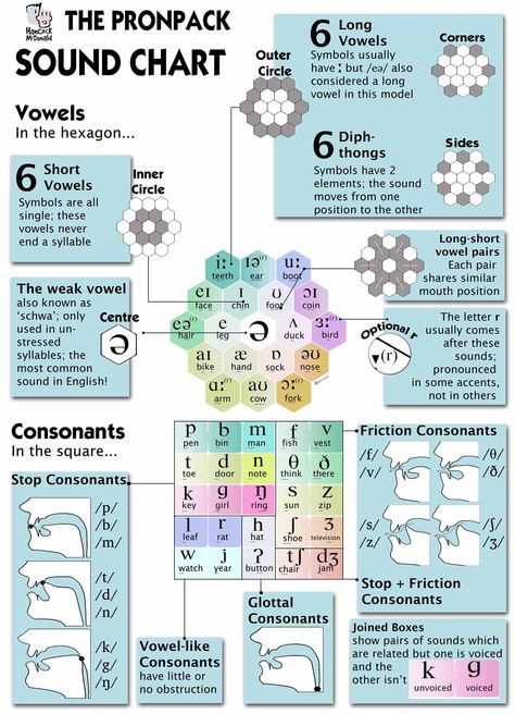 Ipa Chart, Phonetic Chart, Speech Language Pathology Grad School, Phonetics English, Sound Chart, Linguistics Study, Speech Therapy Tools, Chart Infographic, Speech Therapy Games