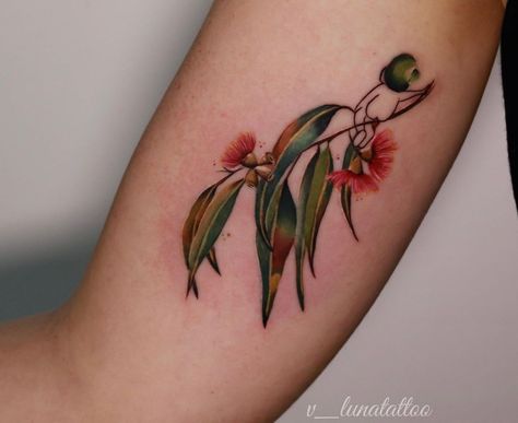 Gum Nut Tattoo, Gum Leaf Tattoo, Gum Tree Tattoo, Eucalyptus Tattoo, Gumnut Baby, Australia Tattoo, Swan Tattoo, Australian Tattoo, Gum Leaves