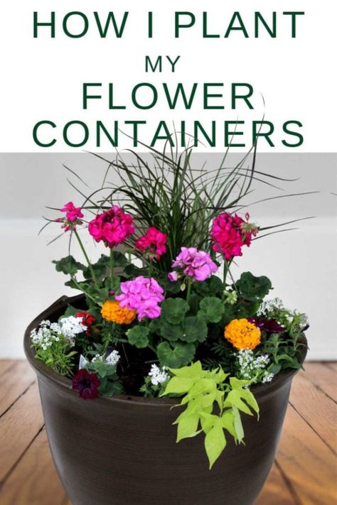 How to plant flower pots Simple Planter Ideas, Multi Flower Pot Ideas, Large Flower Planter Ideas, Angelonia In Containers, Planter Ideas For Full Sun, Annual Flowers In Containers, Geranium Planter Ideas, Geraniums In Pots, Front Porch Flower Pots