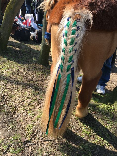 Braids horse, poney, ribbon, cute Centaur Barbarian, Dnd Centaur, Mane Braids, Horse Hairstyles, Horse Event, Horse Braids, Horse Mane Braids, Horse Ribbons, Horse Braiding