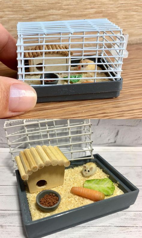 1500×2500: MiniDollHouseArt | https://www.etsy.com/listing/619502895/cage-with-hamster-miniature-for-dolls?ref=shop_home_active_38&pro=1&frs=1&epik=dj0yJnU9S2FWTk05YWd2SlRLYW9FVWtNWU16WE1weHlWX3VzNzcmcD0wJm49YWRxc1hONUdnZ3JNMXB5NXpjRHkyZyZ0PUFBQUFBRi1ZZUFJ Hamster Accessories, Lps Accessories, Hamster House, Hamster Cage, Little Duck, Miniature Houses, Mini Things, Miniature House, Cute Crafts