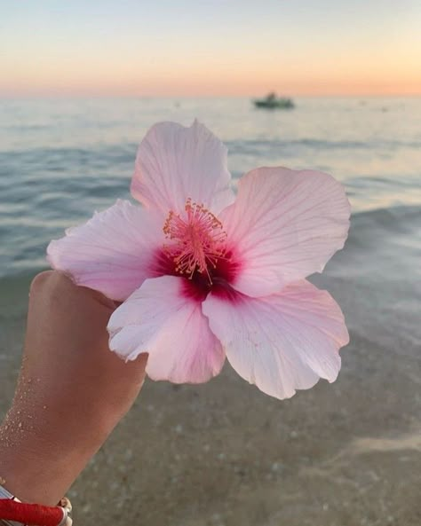 Hibiscus Dreams in Bali 🌸 Bali isn’t just about stunning beaches, it’s also a paradise of vibrant blooms that add magic to every moment. 🌴✨ This beautiful hibiscus flower perfectly captures the island’s tropical charm. From frangipanis to bougainvillea and bold hibiscus blossoms, Bali’s flowers are as colorful and captivating as its sunsets. 🌺 Every flower here feels like a symbol of beauty, serenity, and tropical vibes. Have you picked your favorite Bali bloom yet? Let us know in the comme... Portugal Algarve, Vision Book, Vision Board Pictures, Hawaii Beaches, Pretty Plants, Beautiful Flowers Pictures, Hibiscus Flower, Clay Flowers, Bougainvillea