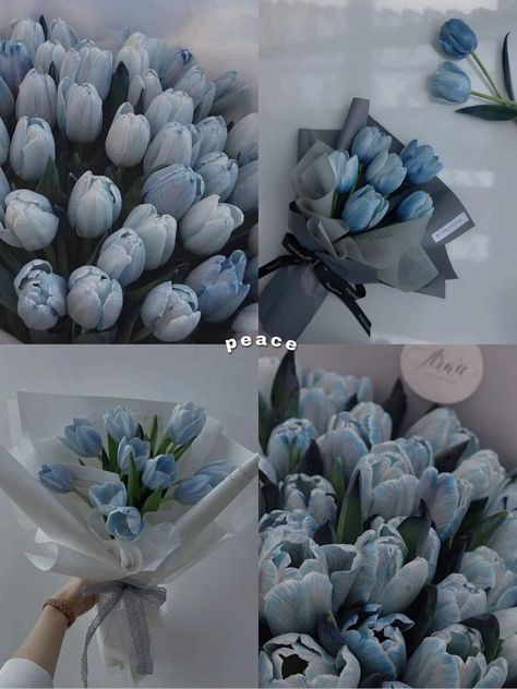 💙✨." Tulips Blue Wallpaper, Tulip Flowers Aesthetic, Blue Tulips Aesthetic, Tulip Flower Pictures, Pretty Flowers Pictures, Luxury Flower Bouquets, Flower Gift Ideas, Boquette Flowers, Pretty Phone Wallpaper