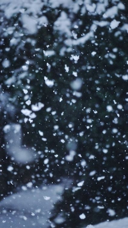 Snow day Iphone Wallpaper Winter, Winter Background, I Love Winter, Iphone Background Images, Light Background Images, Picsart Background, Winter Wallpaper, Photo Background Images, Wallpapers Iphone