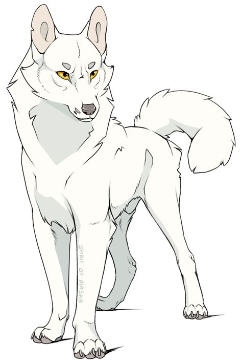 Wolf Art Drawing, Wolf Oc, Wolf Drawings, Wolf Sketch, Canine Drawing, Characters Inspiration, Wolf Stuff, Latin Word, Dog Poses