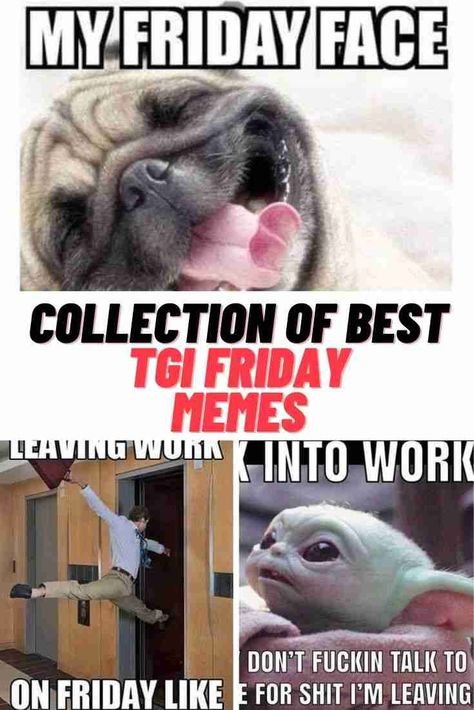 Friday Memes #Friday #ThankGodItsFriday #FridayFunnies #FridayMemes #memes #funny It’s Friday Meme, Funny Friday Work Humor, Funny Friday Memes Hilarious, Funny Friday Humor Hilarious Mornings, Happy Friday Good Morning Funny, Friday Humor Hilarious Finally, Friday Humor Hilarious Laughing, Finally Friday Humor, It’s Friday Funny